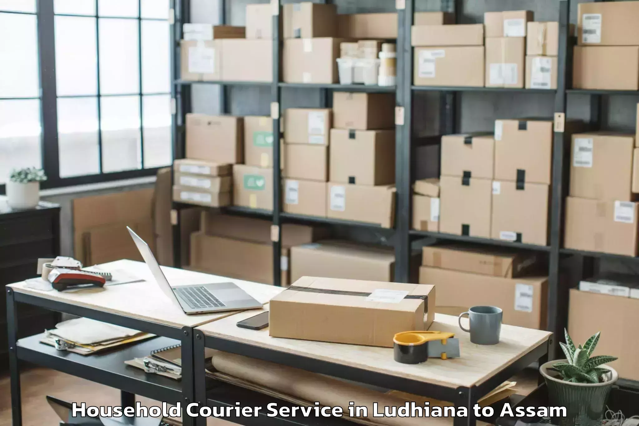 Professional Ludhiana to Jorhat Household Courier